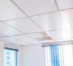 Imagem de Teto com um Forro